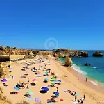 Camelia 68 At Sao Rafael -