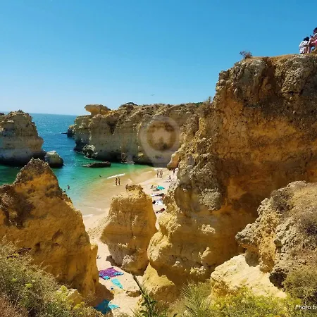 Camélia 68 At São Rafael - * Albufeira