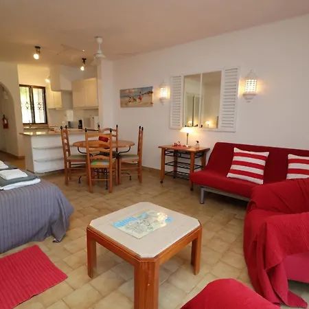 Camélia 68 At São Rafael - *