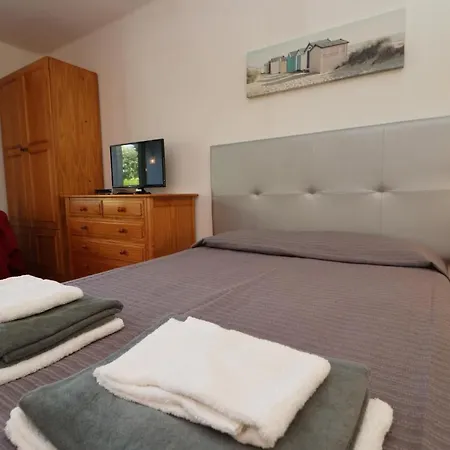 Camelia 68 At Sao Rafael - *