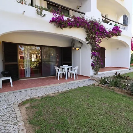 Camélia 68 At São Rafael - *