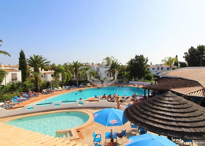 Camelia 68 At Sao Rafael - *